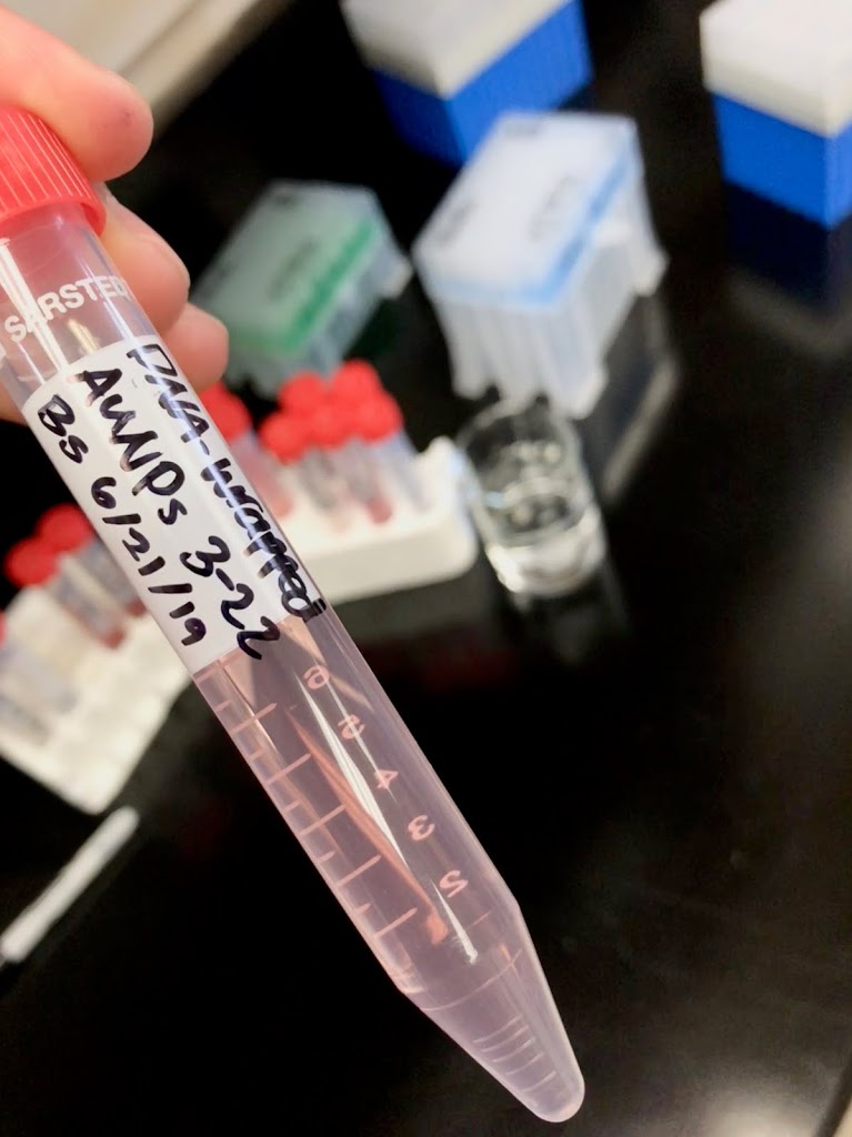 Weeks 4 And 5 Nanoparticle Pellet Preparation And Dna Wrapping Andresen